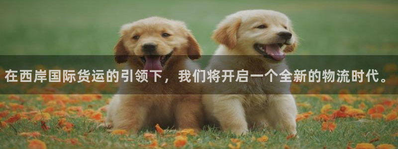 okpay钱包app下载官网2020：在西岸国际货运的引