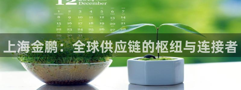 okpay钱包苹果版：上海金鹏：全球供应链的枢纽与连接者
