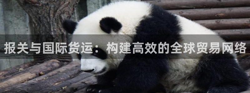 okpay钱包最新版安装方法：报关与国际货运：构建高效的