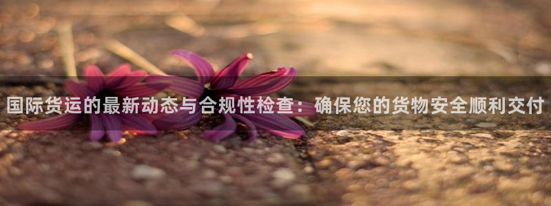 okpay钱包充值：国际货运的最新动态与合规性检查：确保