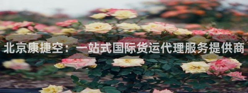 okpay钱包怎么充值：北京康捷空：一站式国际货运代理服
