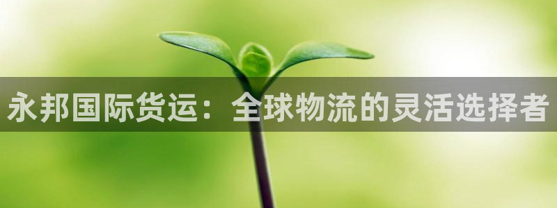 okpay钱包是正规的吗：永邦国际货运：全球物流的灵活选