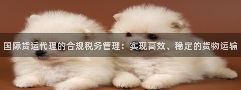 okpay钱包官网下载：国际货运代理的合规税务管理：实现
