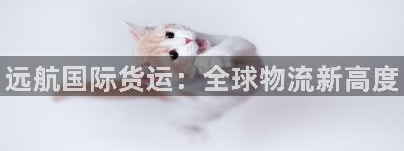 okpay钱包网址：远航国际货运：全球物流新高度