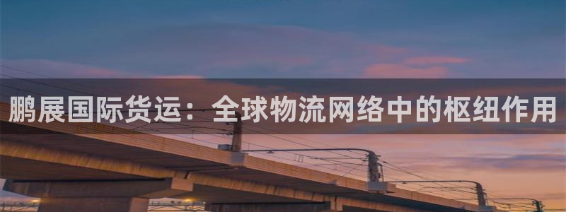 okpay钱包支付：鹏展国际货运：全球物流网络中的枢纽作