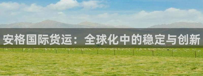 okpay钱包好用吗：安格国际货运：全球化中的稳定与创新