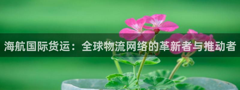 okpay钱包是什么东西,正规吗：海航国际货运：全球物流