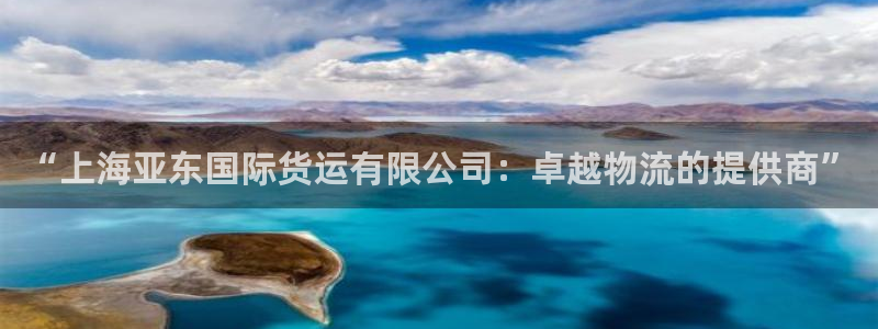okpay钱包下载链接：“上海亚东国际货运有限公司：卓越