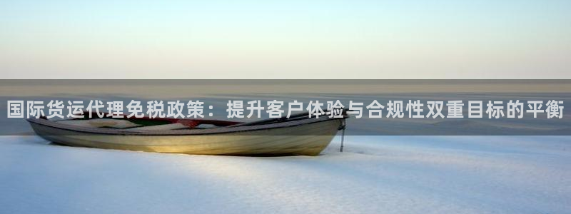 okpay钱包苹果版：国际货运代理免税政策：提升客户体验