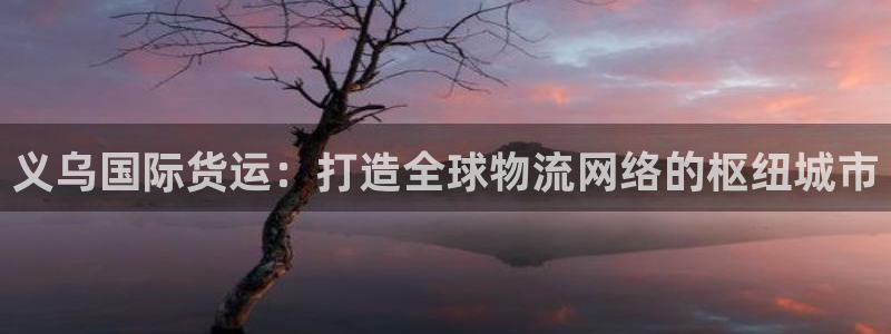 okpay钱包支付平台下载：义乌国际货运：打造全球物流网