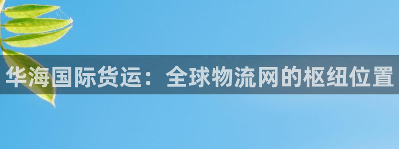 okpay钱包软件下载：华海国际货运：全球物流网的枢纽位