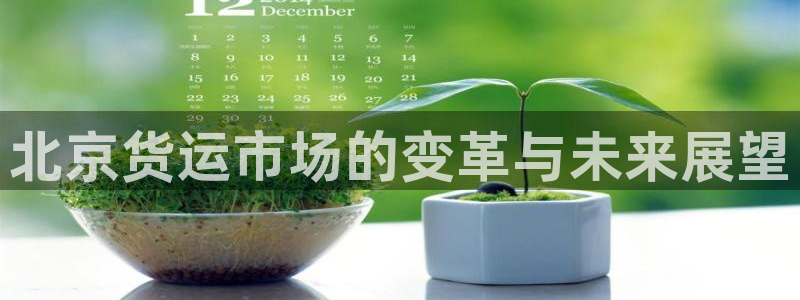 okpay钱包是正规平台吗：北京货运市场的变革与未来展望