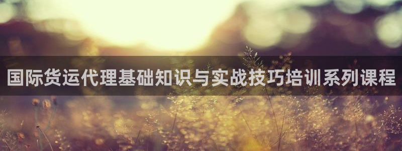 okpay钱包会被查吗：国际货运代理基础知识与实战技巧培