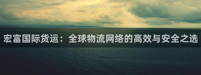 okpay钱包是正规平台吗：宏富国际货运：全球物流网络的