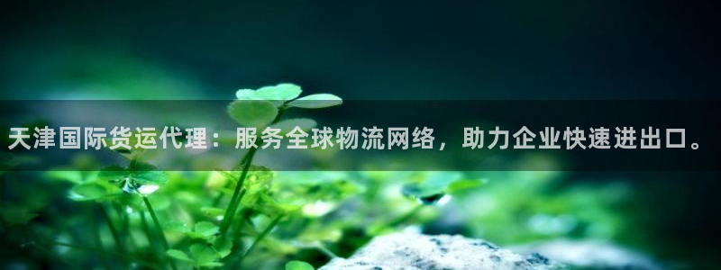 okpay钱包官网版2023：天津国际货运代理：服务全球