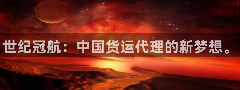 okpay钱包怎么下载：世纪冠航：中国货运代理的新梦想。