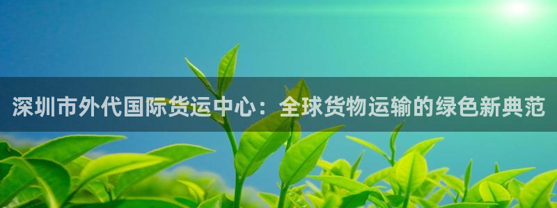 okpay777钱包：深圳市外代国际货运中心：全球货物运