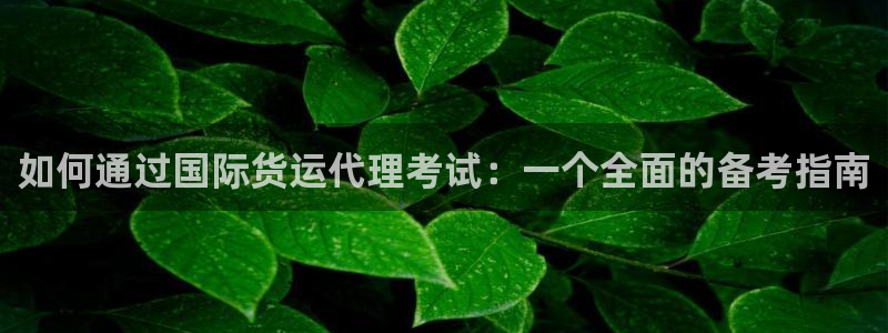 okpay钱包下载：如何通过国际货运代理考试：一个全面的
