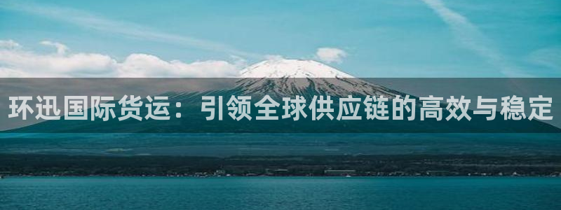 okpay钱包app下载官网2020：环迅国际货运：引领