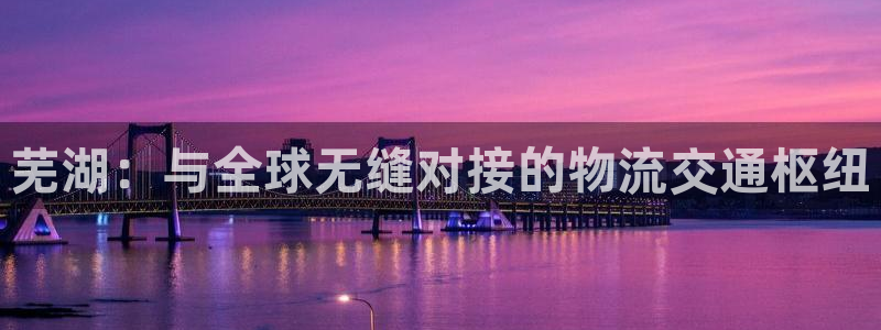 okpay钱包是什么东西,正规吗：芜湖：与全球无缝对接的