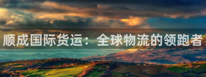 okpay钱包官网版2023：顺成国际货运：全球物流的领