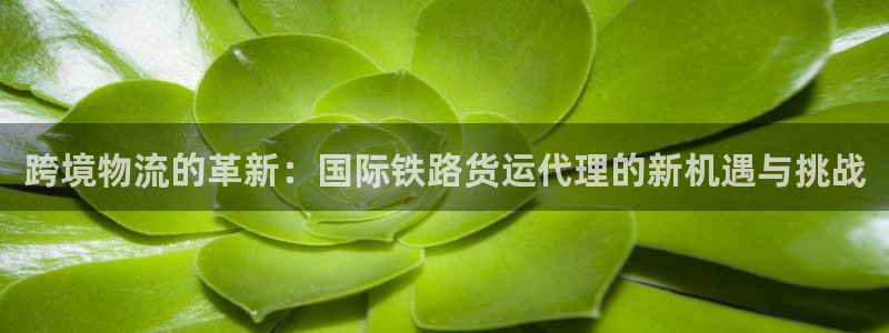 okpay钱包怎么下载不了：跨境物流的革新：国际铁路货运