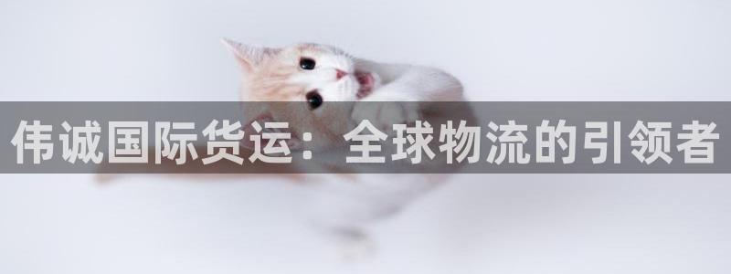 okpay钱包是正规平台吗：伟诚国际货运：全球物流的引领