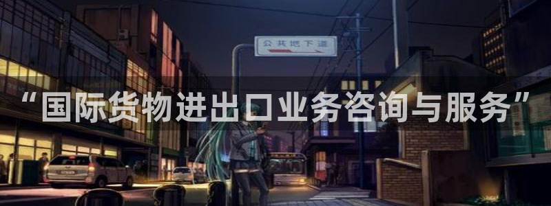 okpay钱包是正规平台吗：“国际货物进出口业务咨询与服