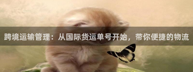 okpay支付钱包官网：跨境运输管理：从国际货运单号开始