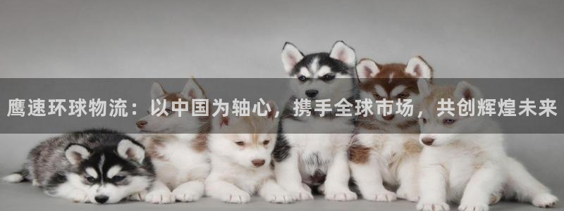 okpay钱包最新版安卓版：鹰速环球物流：以中国为轴心，