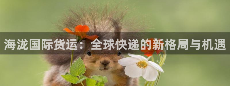 okpay钱包是正规平台吗：海泷国际货运：全球快递的新格