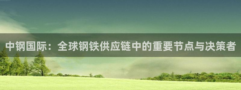 okpay钱包最新版支付下载：中钢国际：全球钢铁供应链中
