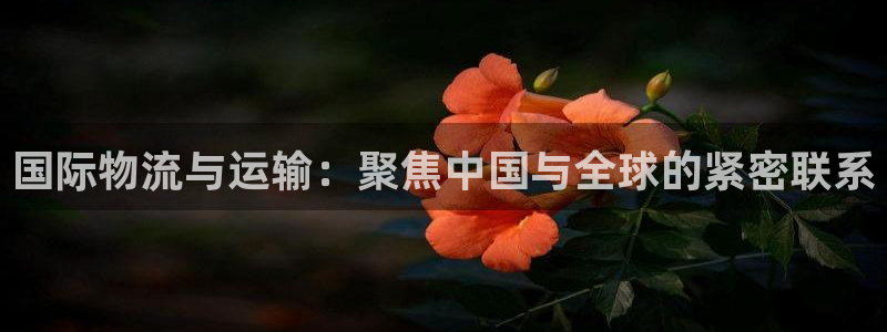 okpay是什么钱包：国际物流与运输：聚焦中国与全球的紧