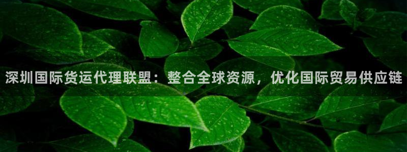 okpay钱包下载网址：深圳国际货运代理联盟：整合全球资