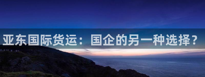 okpay钱包最新版本下载：亚东国际货运：国企的另一种选