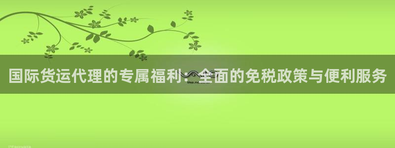 okpay钱包地址怎么查询：国际货运代理的专属福利：全面