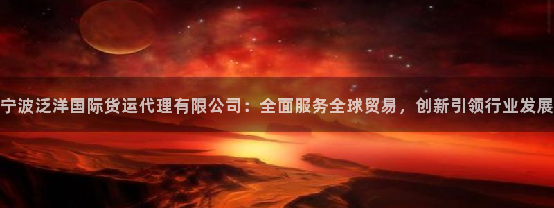 okpay钱包旧版本：宁波泛洋国际货运代理有限公司：全面