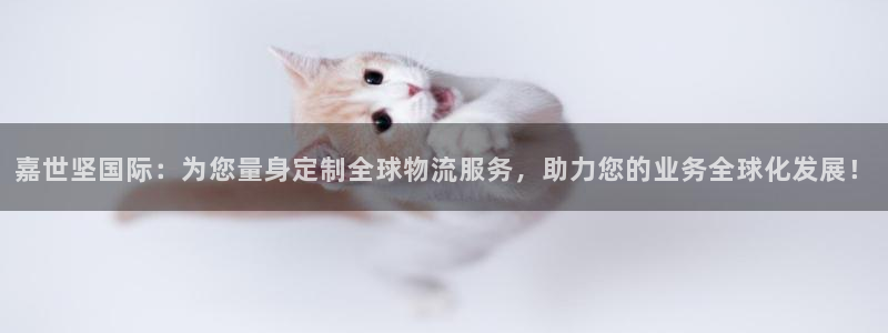 下载okpay钱包：嘉世坚国际：为您量身定制全球物流服务