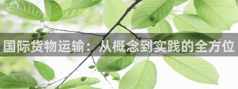 okpay钱包实名认证有风险吗：国际货物运输：从概念到实