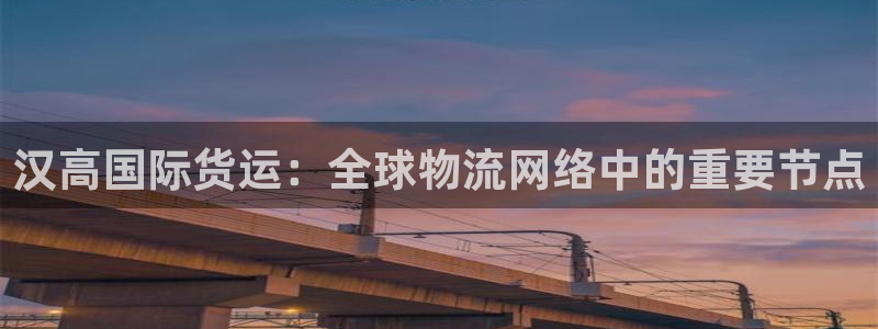 gopay及okpay钱包：汉高国际货运：全球物流网络中