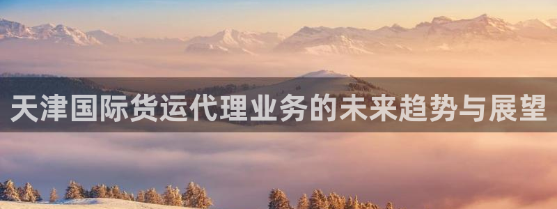 okpay钱包安卓下载：天津国际货运代理业务的未来趋势与
