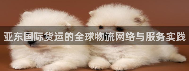 okpay钱包怎么充值：亚东国际货运的全球物流网络与服务