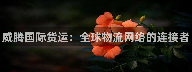 okpay钱包最新版下载：威腾国际货运：全球物流网络的连