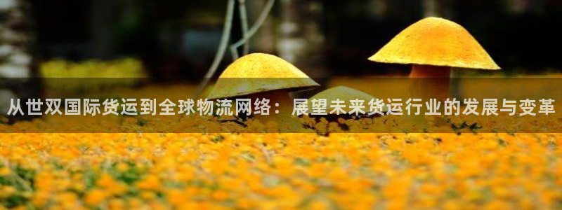 okpay是什么钱包：从世双国际货运到全球物流网络：展望