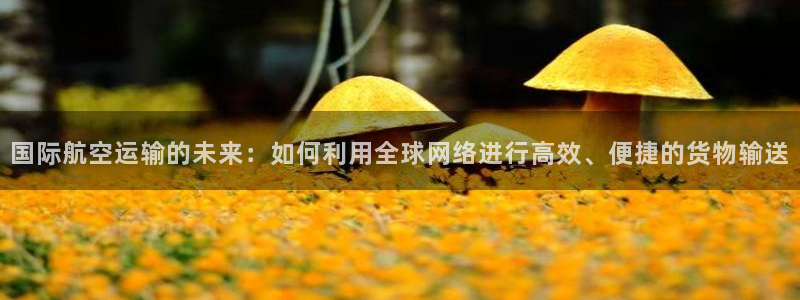 okpay钱包最新版本：国际航空运输的未来：如何利用全球
