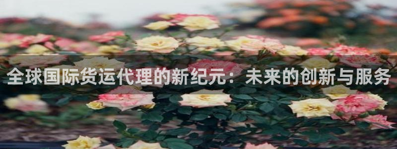 okpay钱包安卓官网下载：全球国际货运代理的新纪元：未