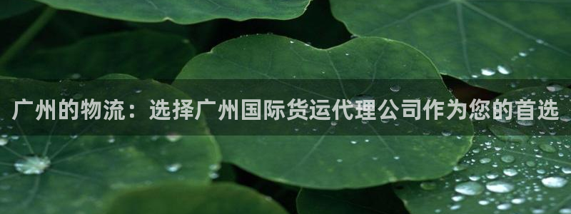 okpay钱包网页版：广州的物流：选择广州国际货运代理公