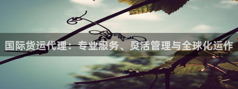 okpay钱包苹果版：国际货运代理：专业服务、灵活管理与