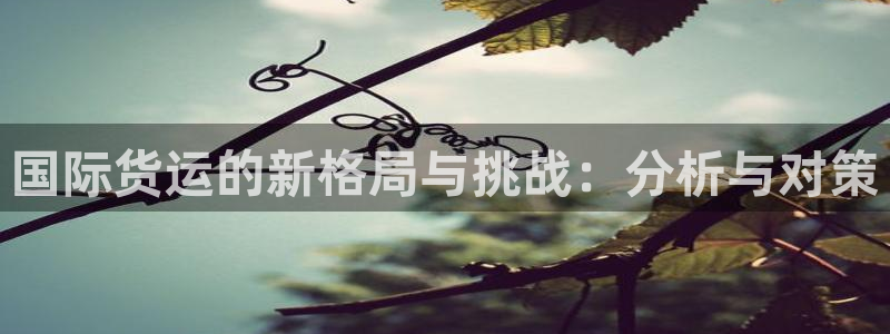 okpay钱包最新下载地址：国际货运的新格局与挑战：分析