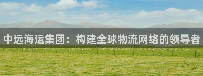 okpay钱包正规吗：中远海运集团：构建全球物流网络的领